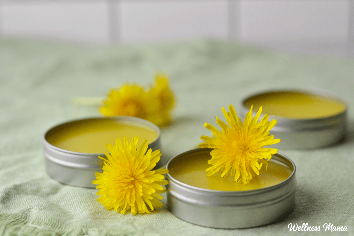 How to Make Dandelion Salve (For Sore Muscles and Healthy Skin) How to Make Dandelion Salve (For Sore Muscles and Healthy Skin)